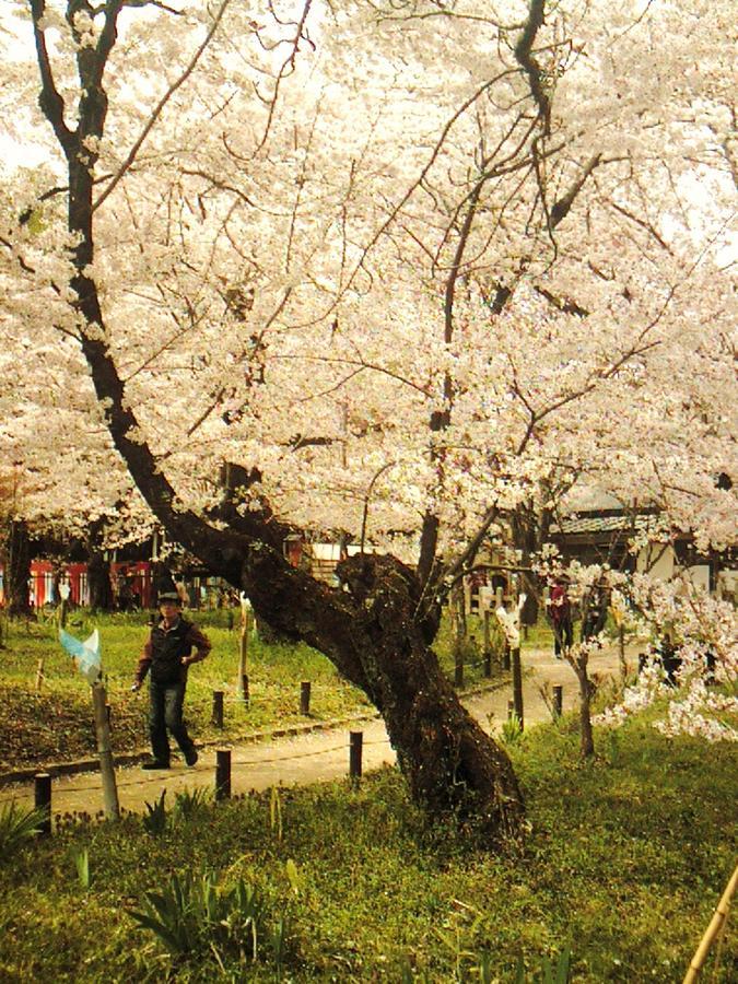 Orange Inn Kyoto Dış mekan fotoğraf